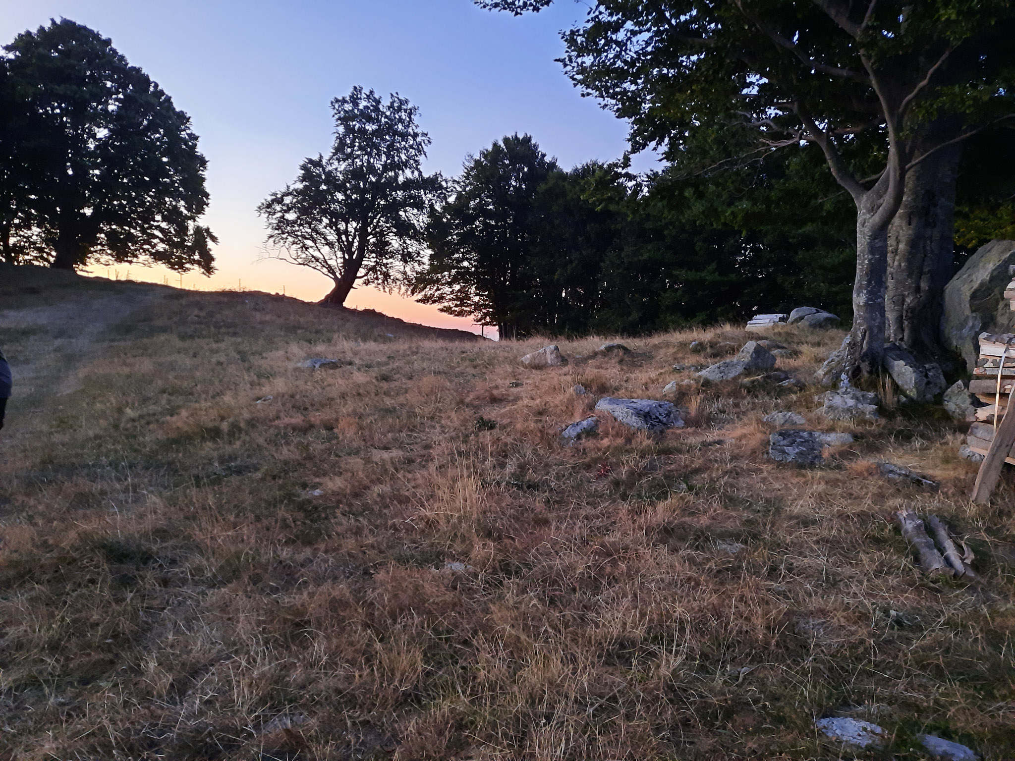 20220813210410 20220813 210410